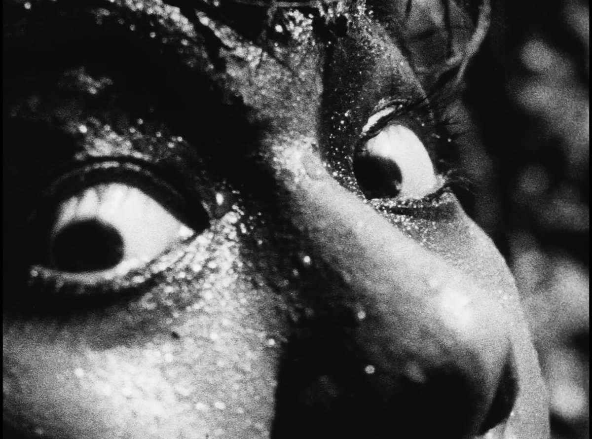 _sinesapiens_'s tweet photo. 鉄男 / Tetsuo: The Iron Man(1989) - Shinya Tsukamoto https://t.co/HzToGmpiFu