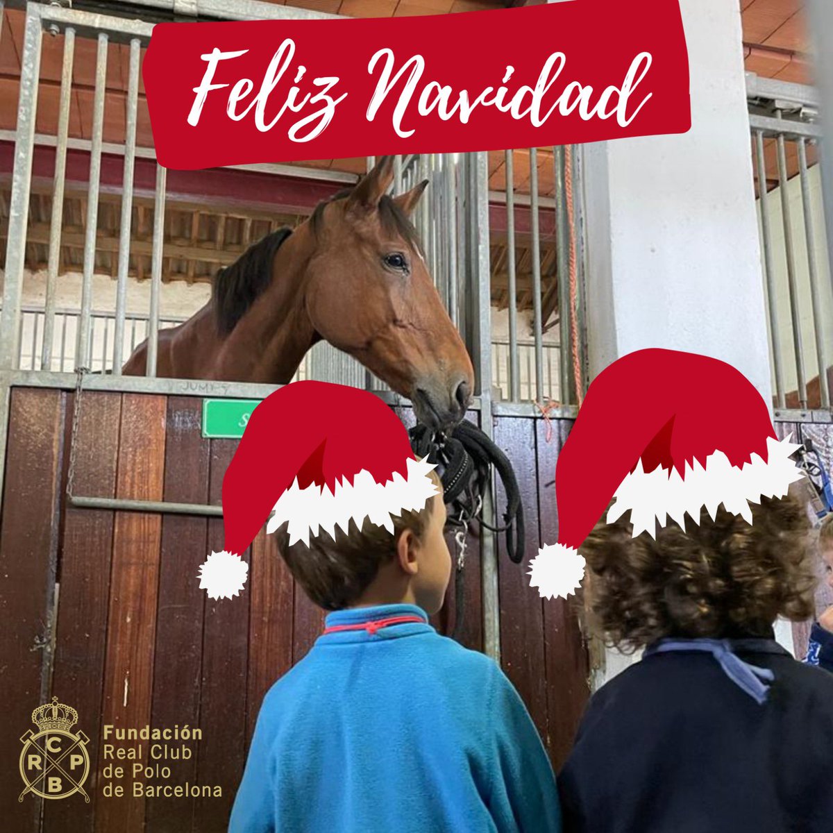 Desde la Fundación Real Club de Polo os deseamos una muy Feliz Navidad 🎄🎁🤍

#feliznavidad #fundacionrcpb #rcpb #caballos #cavalliesport #cabalgandolavida #felicidad