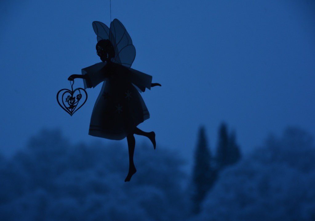 Vår omvendte julegavekalender, der vi gir istedenfor å få, har synliggjort et mangfold av veldedige organisasjoner. 17 org., stiftelser og virksomheter har i år fått støtte fra Webstep. Det gir fornyet håp til både mennesker, dyr og miljø, som trenger en håndsrekning. #GodJul