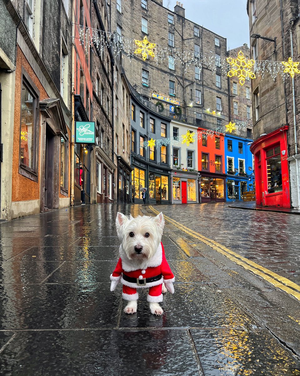 Wishing you all a very merry Christmas when it comes. 🍾🥂 
#thisisedinburgh #visitscotland #scotland #dogsoftwitter #edinburgh