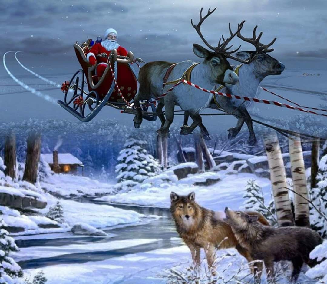 ghostwolvesClan's tweet photo. Merry Xmas to you and your familys
❤️🎅🐺🌲 https://t.co/Eff45AEbm9
