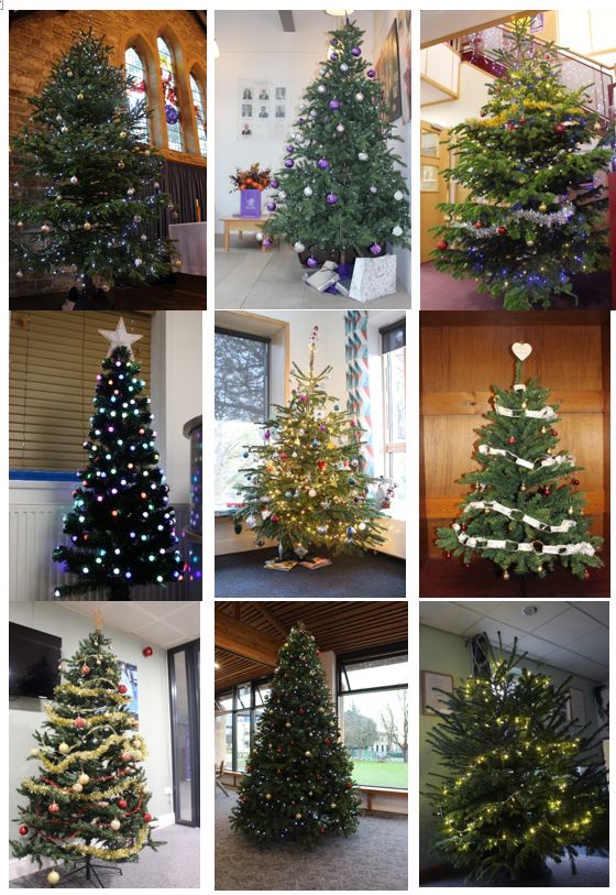 Most Small Artificial Christmas Trees With Lights 2022 Background