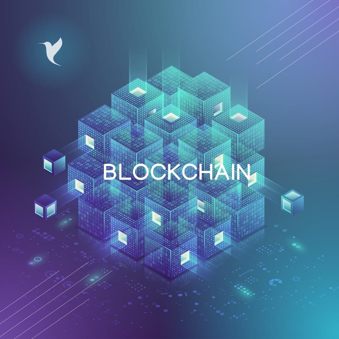 The Colibri Ecosystem makes full use of blockchain technology. This means that all transactions are transparent and cannot be faked or undone.

#blockchaintechnology  #blockchain #blockchainproject #Airdrop #Crypto #CountryHumans #Colibri