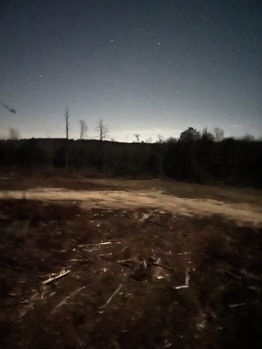 gr1ffw's tweet photo. Morning hunt https://t.co/wEZPrxOZUu
