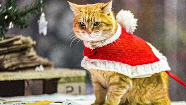A christmas gift from bob. Рождество кота Боба трейлер на русском.