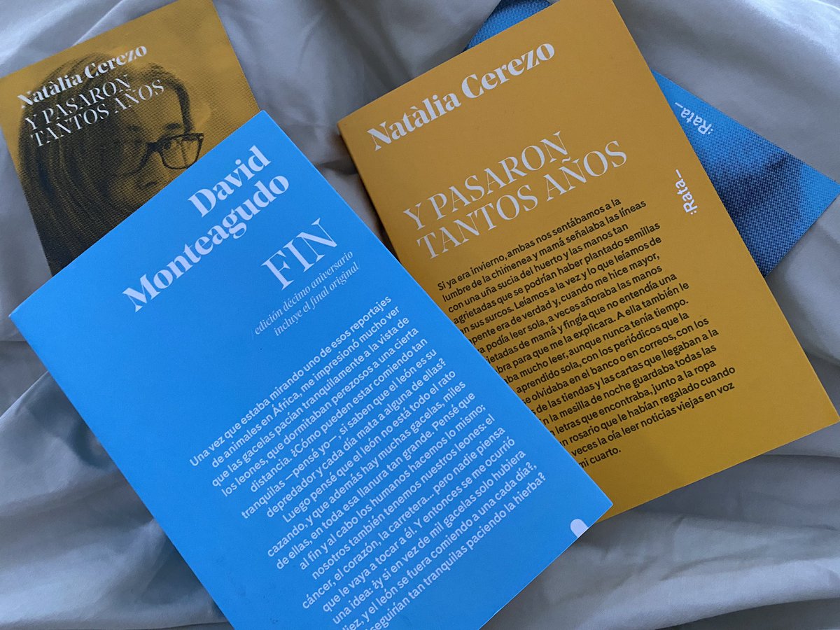 (((Lu Schonfeld))) 💚 tweet media