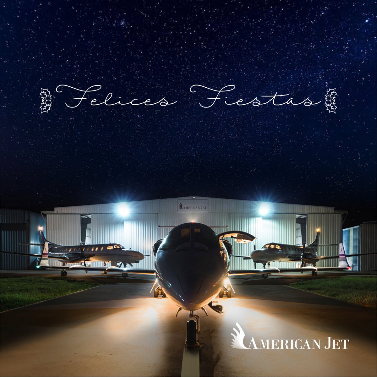 American Jet tweet media