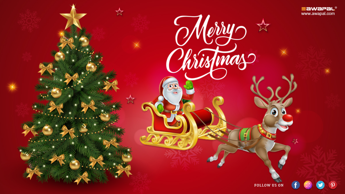 AwapalSolutions's tweet photo. Awapal Solutions wish you Merry Christmas !!
Get your Software customized and developed today and avail of numerous benefits now.
#christmasmood #christmasjoy #christmasday #christmaseve #christmasparty #christmasgifts #santaclaus #christmastime #christmastree #MerryChristmas https://t.co/MlFtihNwzn