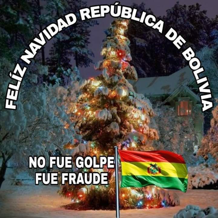 Bolivia Unida Internacional tweet media