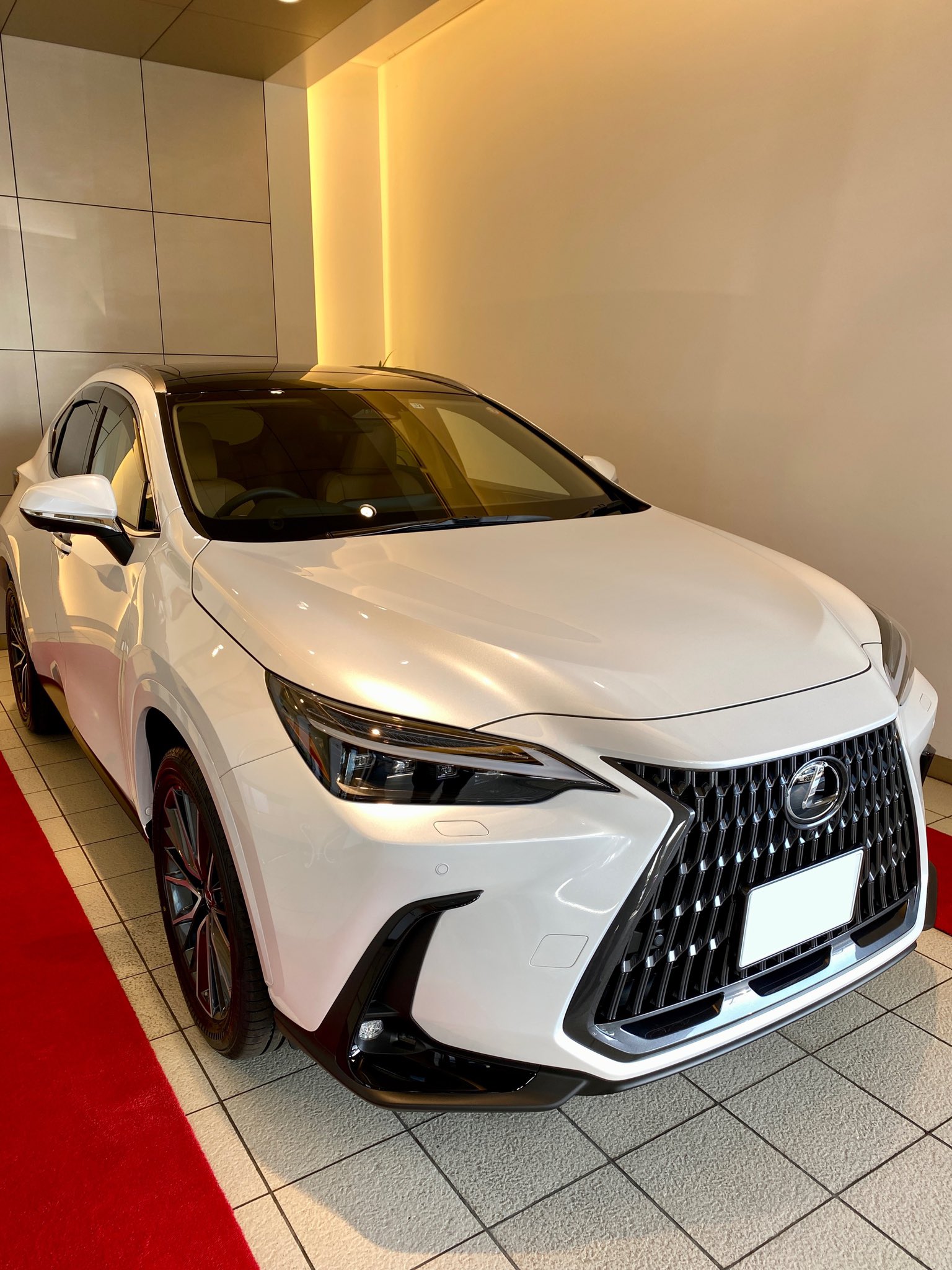 大幅値下げ！レクサス 新型NX 新品純正フェンダーアーチモールLEXUS-