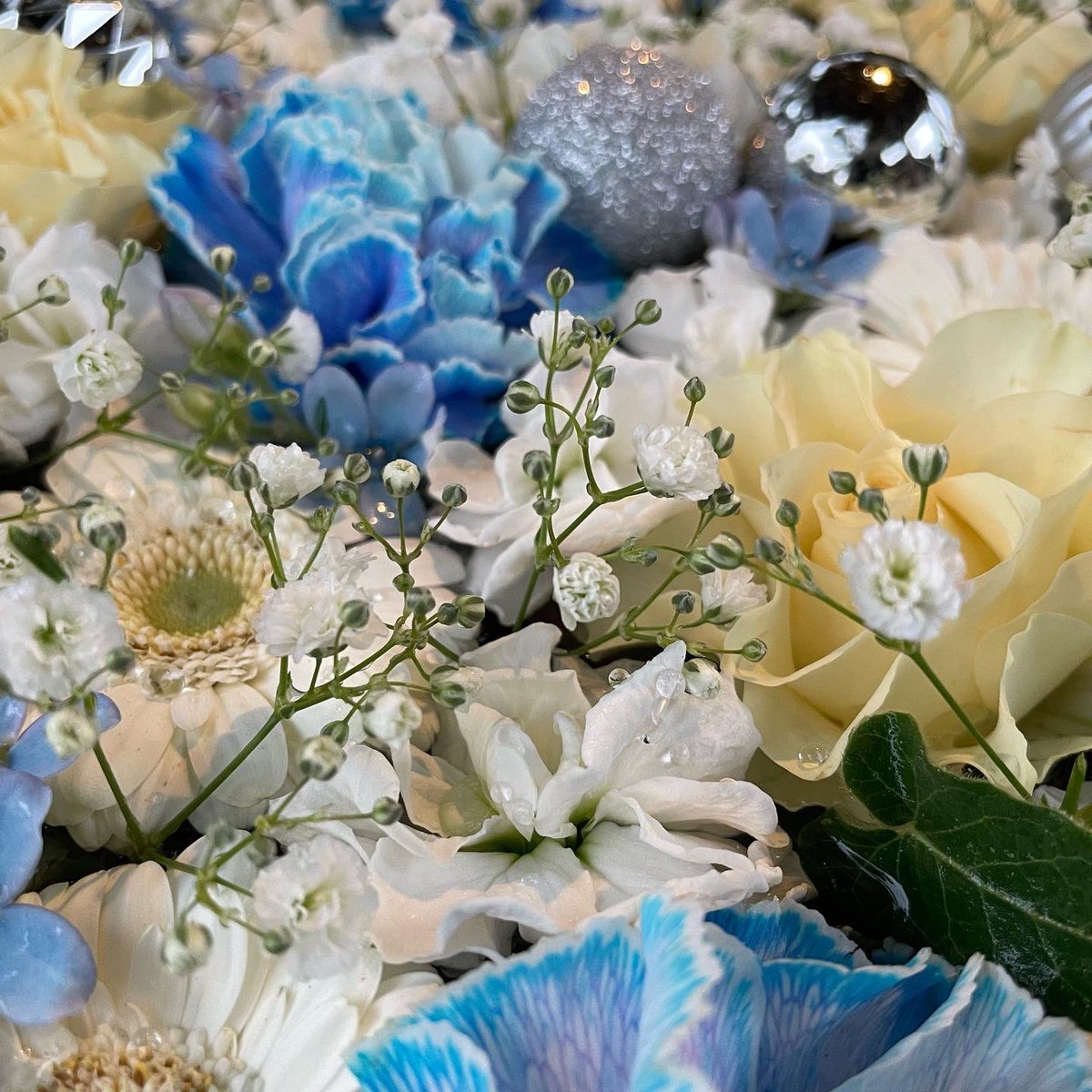 石田花店 S Tweet 野見神社様のご奉納花手水です 今回のテーマ 神社で メリークリスマス21 今年はホワイト ブルー 石田花店 Tel 072 675 0338 高槻 高槻市 茨木 枚方 吹田 寝屋川 長岡京 北摂 たかつきdays 高槻花屋 はなまっぷ 高槻市営