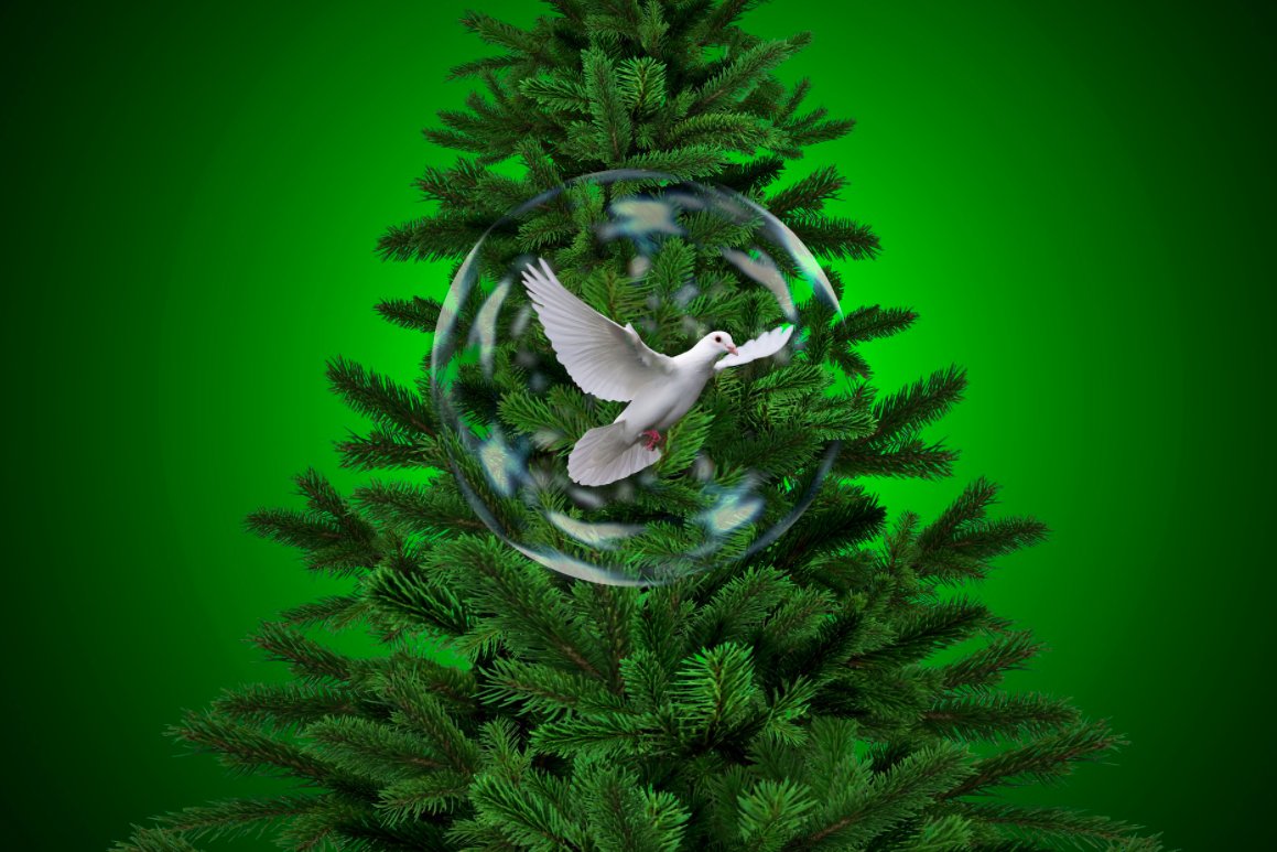 Thank you all for the support &amp; happy interactions this year. May faith be renewed and peace permeate your soul this festive season. Stay safe and shining dear friends. Merry Christmas!💖🙏🎄🕊️🌟

#Christmas2021 #ChristmasTree #SEASONSGREETINGS #PeaceAndLove