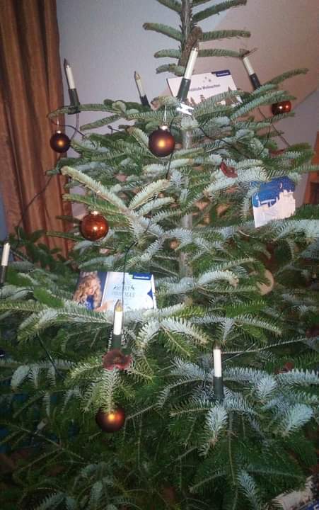 So s'Bäumle darf natürlich nicht fehlen.😂🥰