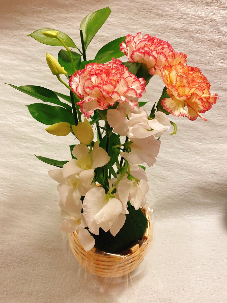 M2ganbaru's tweet photo. 大学のイベントのクリスマスアレンジメントで生花をやったので
#メリークリスマス https://t.co/YzobMB7vVK