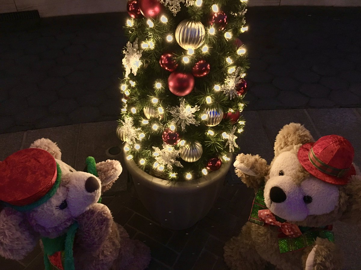 ktrickjp's tweet photo. クリスマスイブ！
ツリーに隠れミッキー見つけた！

#クリスマスイブ 
#隠れミッキー 
#ダッフィー 
#シェリーメイ https://t.co/zvjO4anZZt