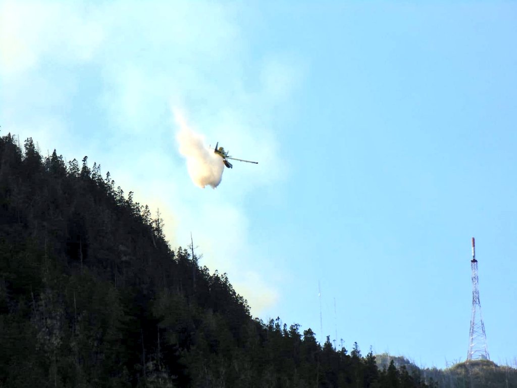 f5noticiasok's tweet photo. #IncendiosForestales #LagoPuelo #Cerro #Currumahuida
Alrededor de las 8 de la mañana, comenzaron a operar medios aéreos, mientras que el personal lo ha hecho todo el día, ante la posibilidad que el fuego descendiese durante la noche a sectores con viviendas https://t.co/C7p11z100e