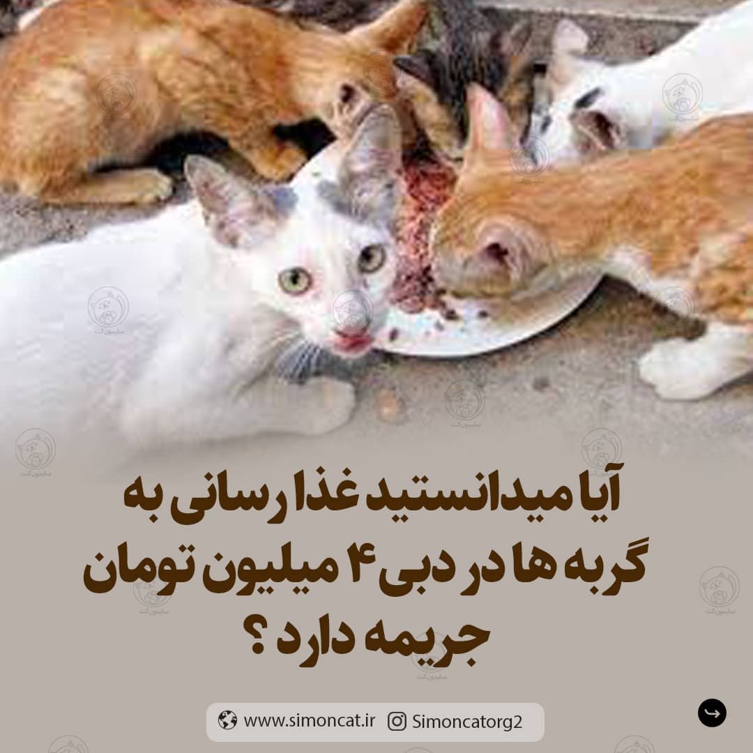 میدونستین که همچین قانونی تو این کشور هست؟؟؟
به نظرتون این قانون درسته؟؟؟