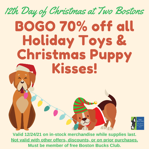 twobostons's tweet photo. BOGO 70% off - Today Only! - https://t.co/h5uFdBXGm7 https://t.co/T34NUUgUcH