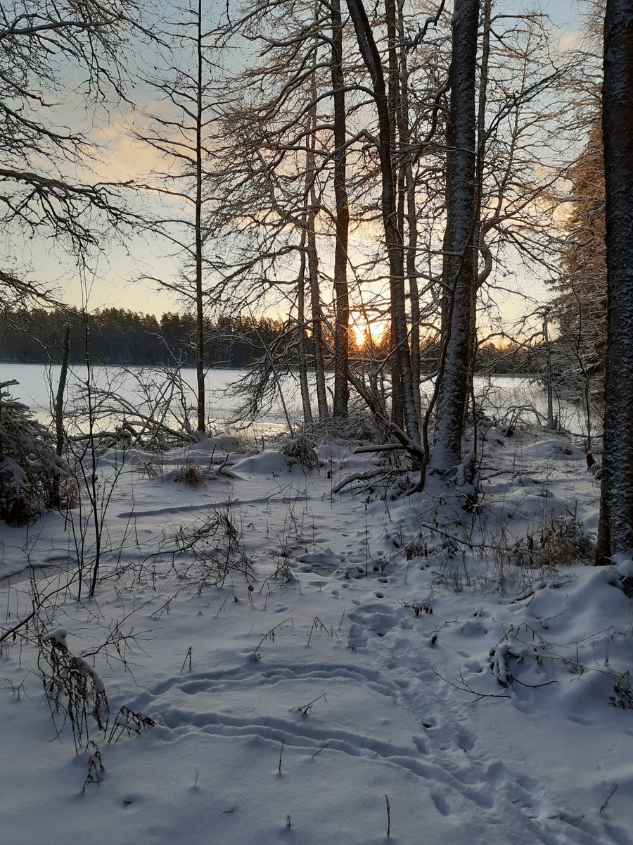 Valoa ja iloa jouluun 🤗