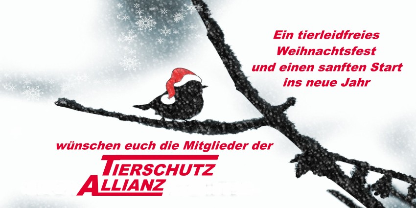 #FroheWeihnachten 
#bleibtgesund
#tierschutzallianz