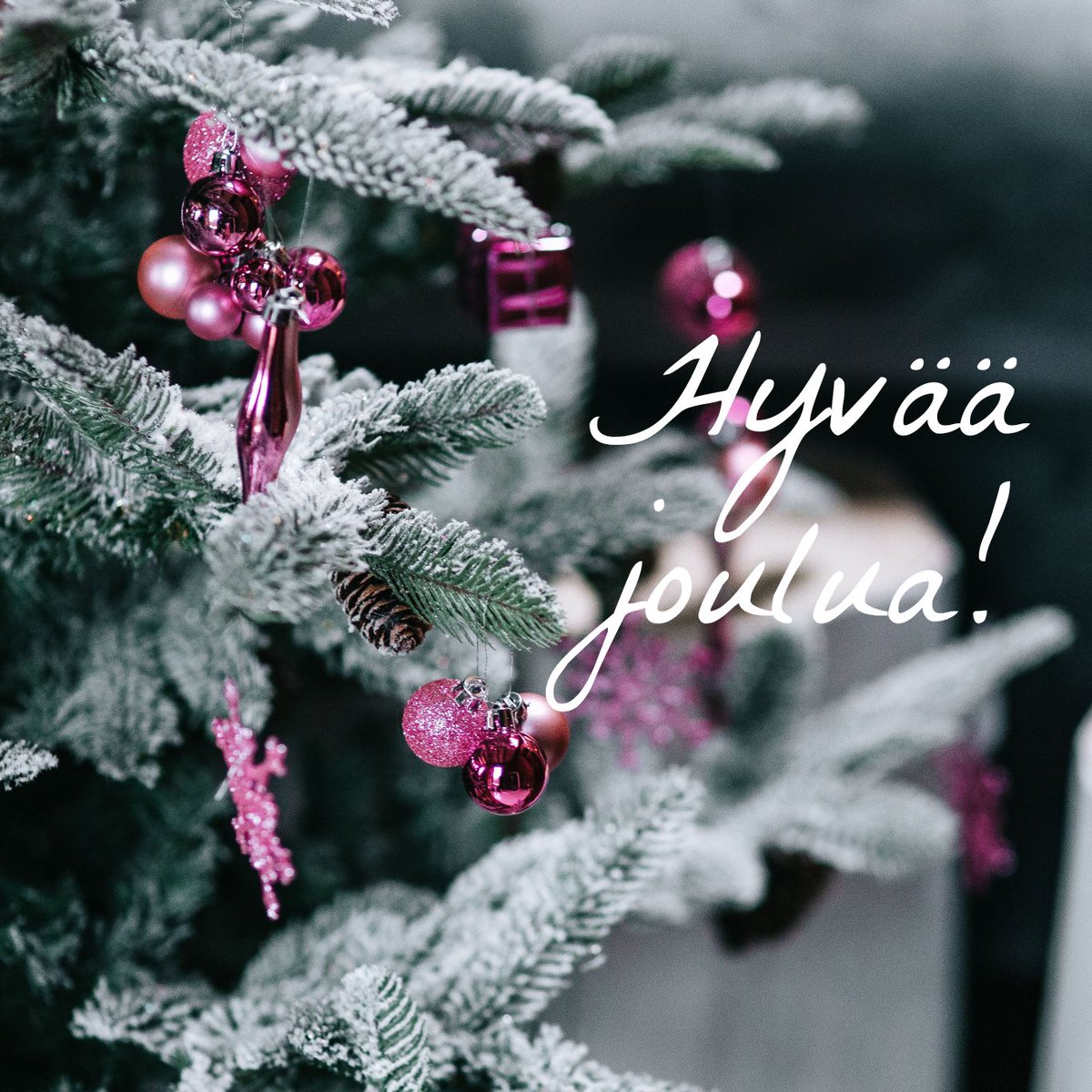 rc_kuoro's tweet photo. Hyvää joulua! 🎄❤️ https://t.co/ABxBtdbXEj