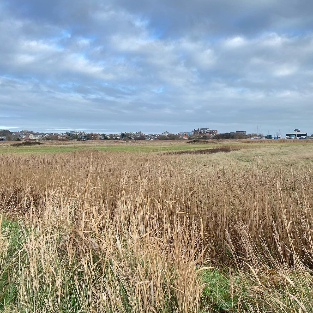 O&C Butcher tweet media