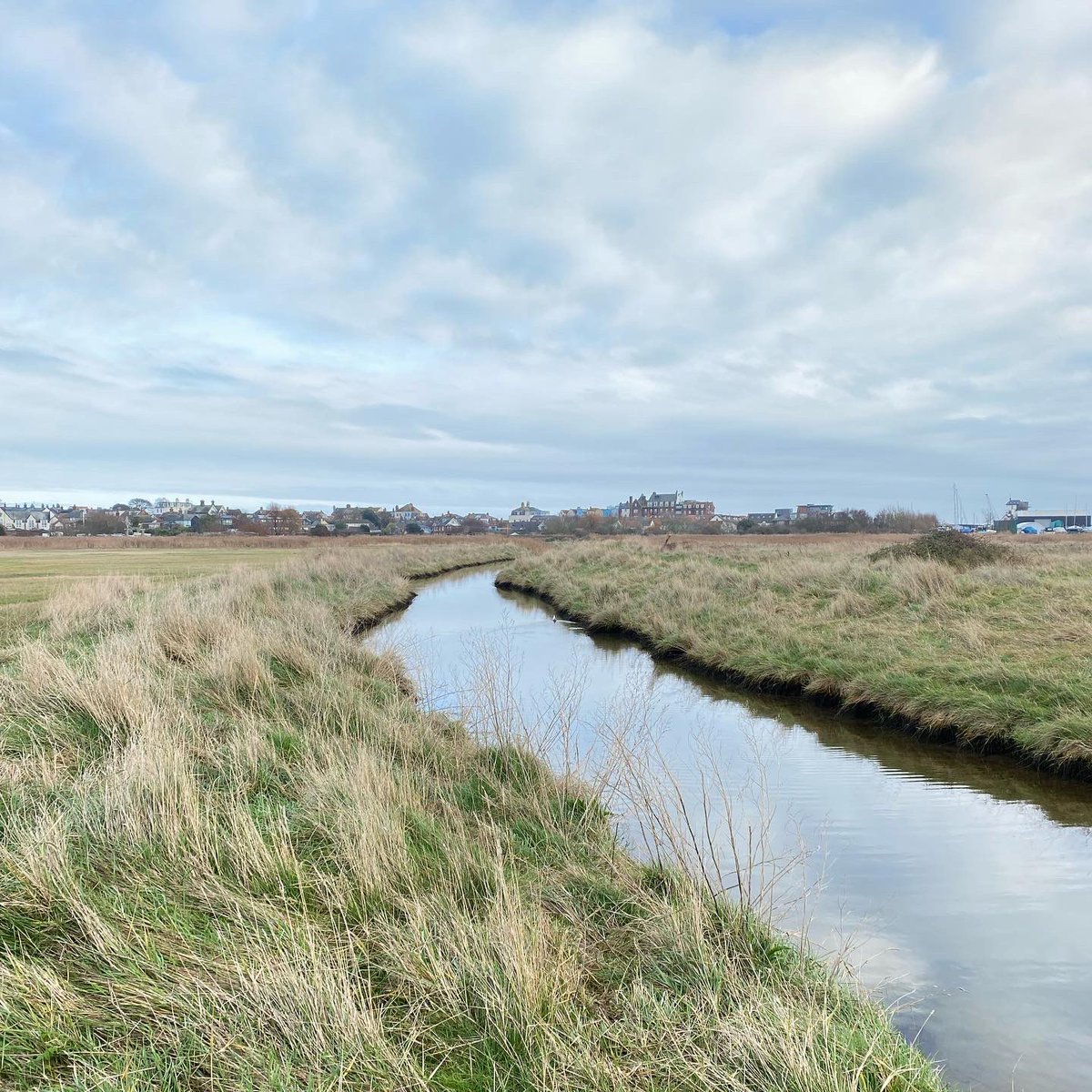 O&C Butcher tweet media