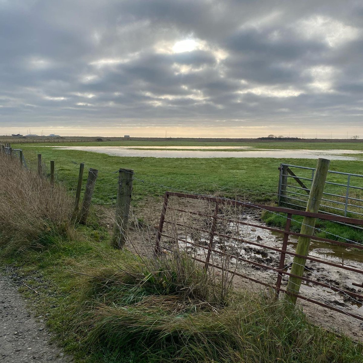 O&C Butcher tweet media