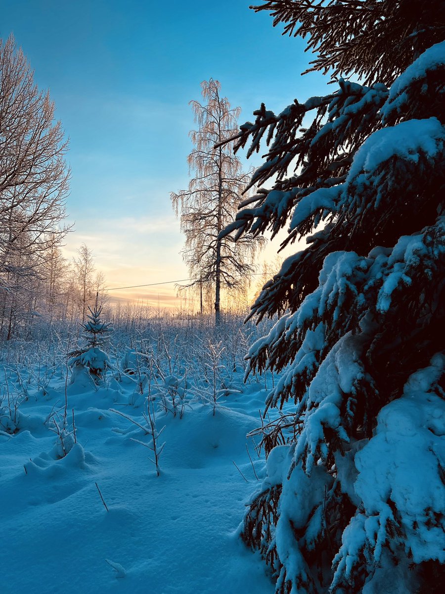 Hyvää ja rentoa joulua 2021!
 #joulu #joulu2021