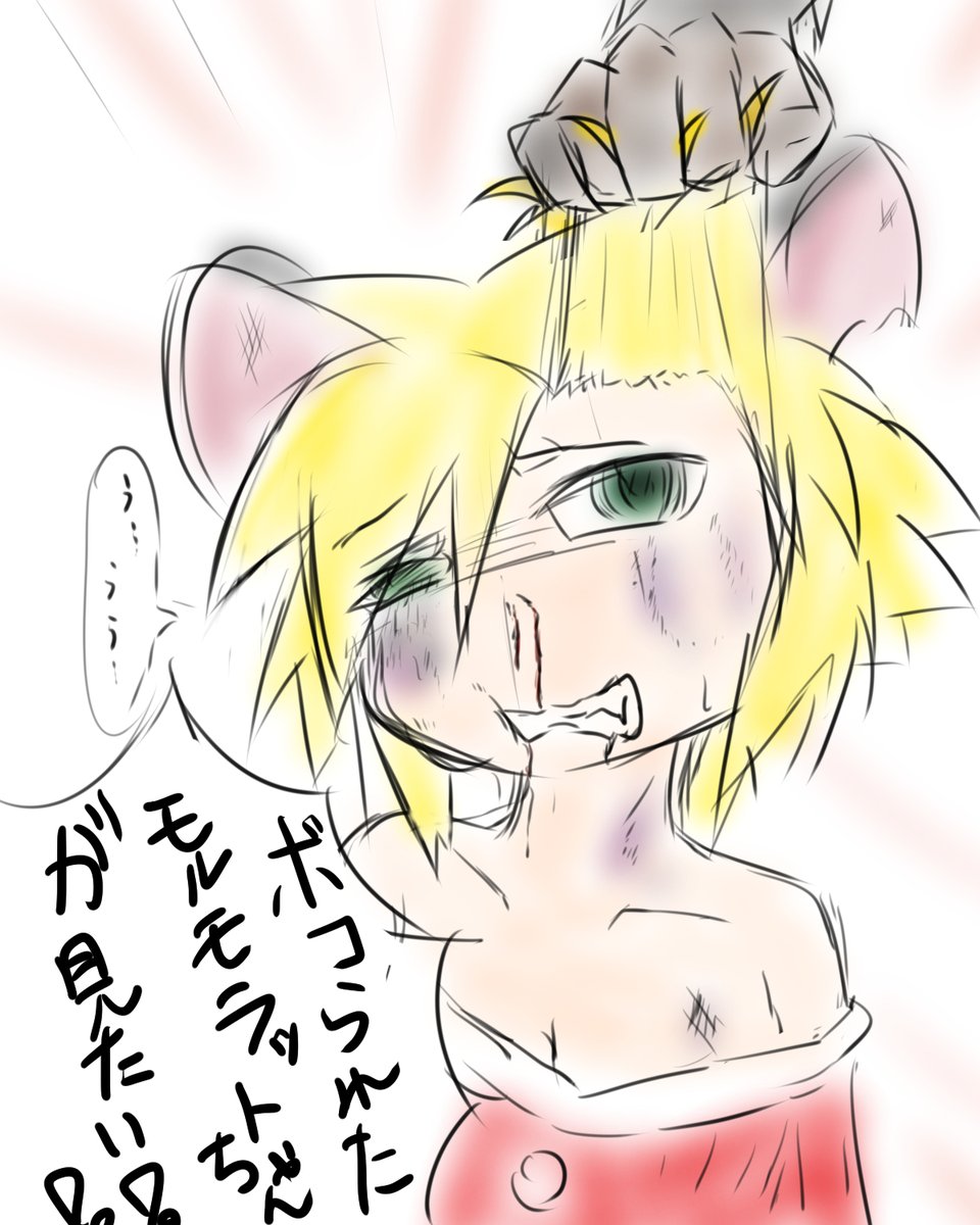 サンタモルモラットちゃん!! 