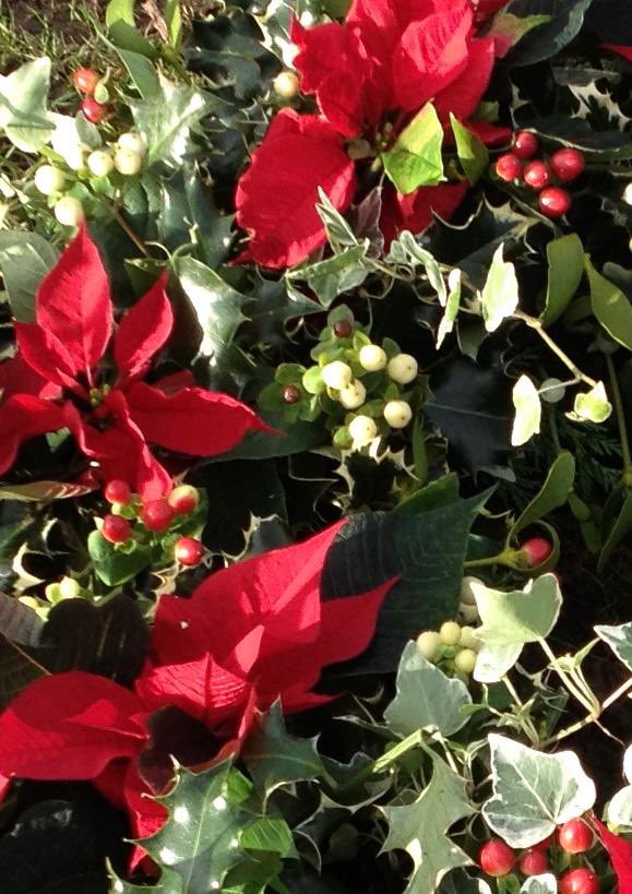 ReMAP (@darecollaborate) on Twitter photo Happy winter festival to all our members, friends and colleagues <a href="/ucl/">UCL</a> <a href="/IOE_London/">IOE, UCL's Faculty of Education & Society</a> <a href="/uclknowledgelab/">UCL Knowledge Lab</a> and beyond. We look forward to more great projects and collaboration in 2022. Happy winter festival to all our members, friends and colleagues <a href="/ucl/">UCL</a> <a href="/IOE_London/">IOE, UCL's Faculty of Education & Society</a> <a href="/uclknowledgelab/">UCL Knowledge Lab</a> and beyond. We look forward to more great projects and collaboration in 2022.