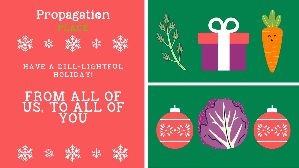PropPlace's tweet image. Wishing you all a peaceful and lovely time this holiday season 💚 Lots of Love, Propagation Team 
@swcityfarm
