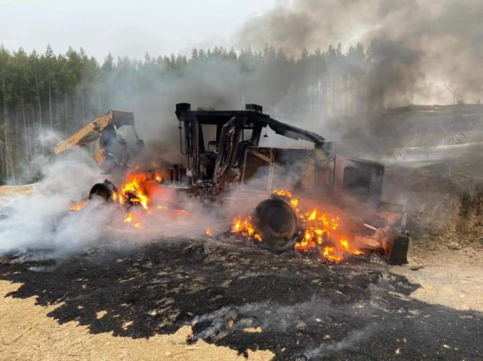 hector_llegues's tweet photo. #FRESIA #TEGUALDA Un grupo de encapuchados intimidó a un guardia de un recinto de #AnChile en la comuna de #Fresia, en la región de #LosLagos, y destruyeron seis máquinas durante un ataque incendiario. 🤷🤦 https://t.co/XsmTaPjlU1