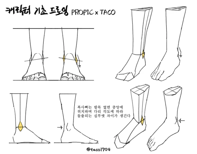 복사뼈는 발목 옆 중앙에 위치하며 다리 각도에 따라 돌출되는 실루엣 차이가 생긴다 