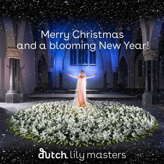 Dutchlilymaster's tweet photo. We are grateful for the excellent cooperation this year. We are confident that 2022 will be a beautiful and new inspiring year. 

We wish you a merry Christmas and a happy New Year!✨
#dutchlilymasters #dutchlilymasters #florist #lilies #lelie #flowers #lily #bloemen https://t.co/YbHReeZvu3