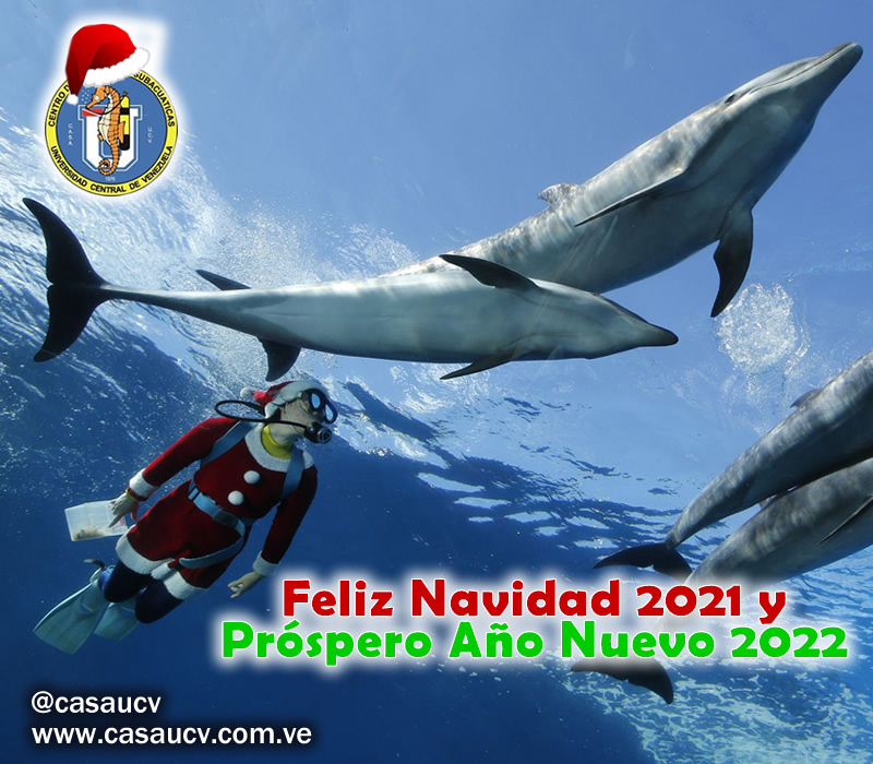 Feliz Navidad 2021 y Próspero Año Nuevo 2022
casaucv.com.ve/feliz-navidad-…