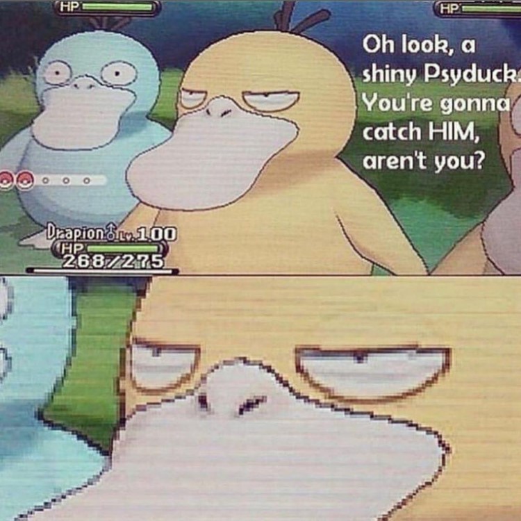 ShinyPokeTrade's tweet photo. https://t.co/imRNlK7iPF
