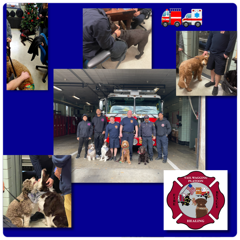 Local22Philly's tweet photo. Thank you Tail Wagging Platoon for so many wonderful visits over the past few weeks. Thank you for sharing your special pups with E39, L30, M5, E59 & E6.
#tailwaggingplatoon #phillyfirefighters #phillyparamedics #phillystrong https://t.co/PpXCzo95Au