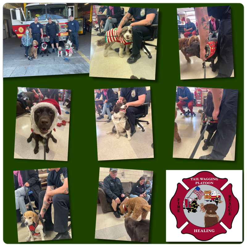 Local22Philly's tweet photo. Thank you Tail Wagging Platoon for so many wonderful visits over the past few weeks. Thank you for sharing your special pups with E39, L30, M5, E59 & E6.
#tailwaggingplatoon #phillyfirefighters #phillyparamedics #phillystrong https://t.co/PpXCzo95Au