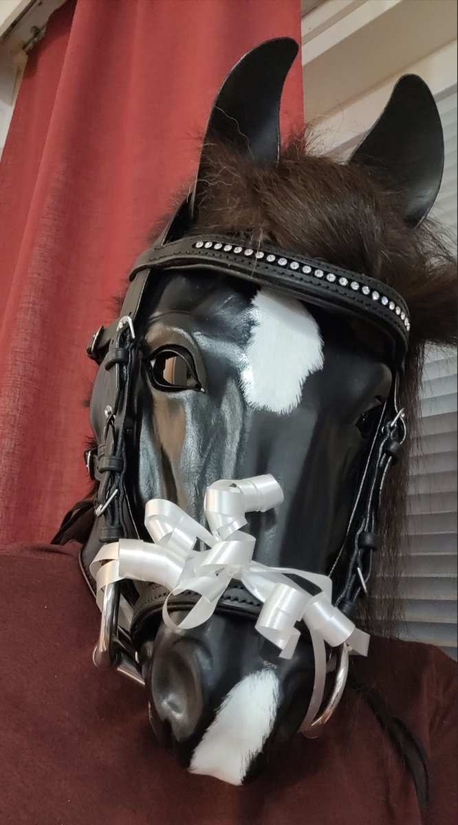 lessos_S's tweet image. Merry Christmas! Pony poked their snoot a little bit too close to the presents...