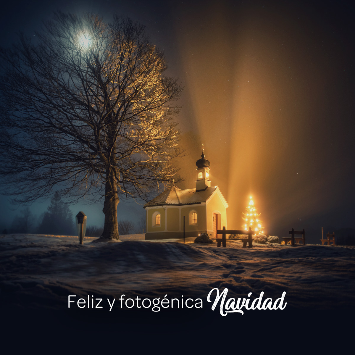 arcadina's tweet photo. En Arcadina deseamos que estas Navidades alcances y superes todos los horizontes que se interpongan ante tus ojos, disfrutando al mismo tiempo de una feliz Navidad. ¡Felices Fiestas 🎄 📸 🎊 !

https://t.co/TI3heyWthr
.
.
.
#arcadina #solucionesfotografos #navidad2021 https://t.co/bSbTZJzTSn