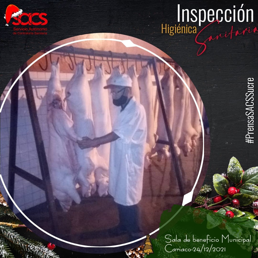 Equipo del municipio Ribero efectuó evaluación higiénica sanitaria ante-Mortem y post-Mortem, a porcinos, en sala de beneficio de Cariaco #24Diciembre #FelizNavidad #PrensaSACSSucre