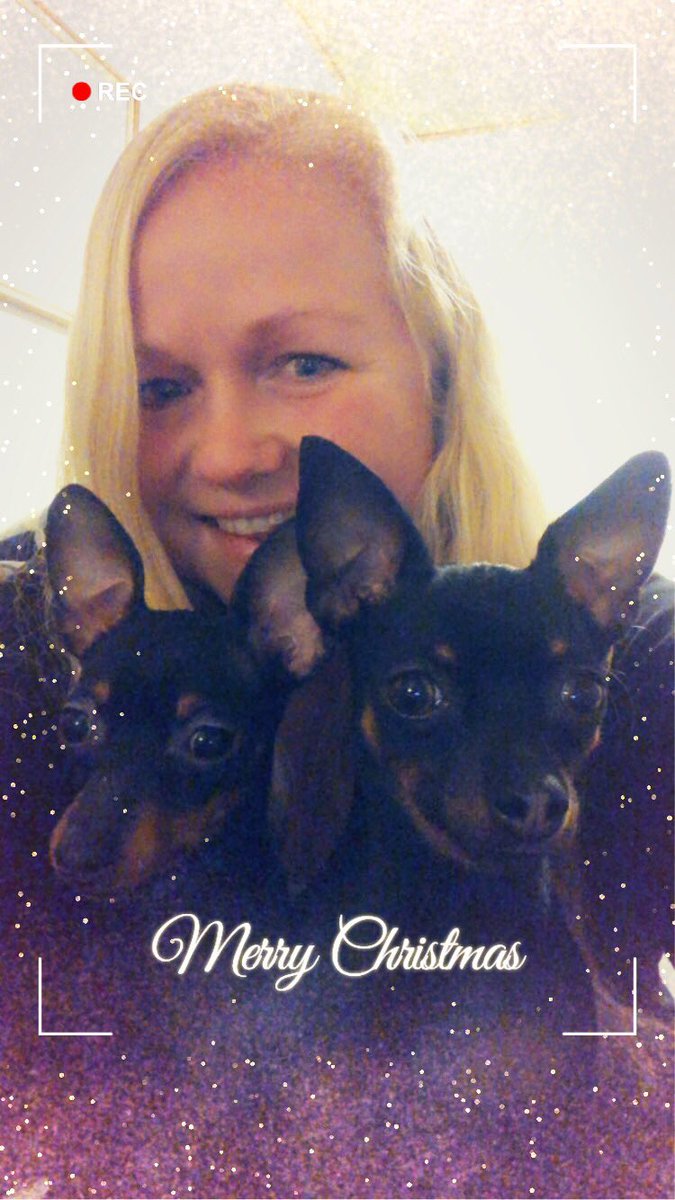 Ushibaby 🇩🇰 Tokyo & Copenhagen Go fest 2026 tweet media