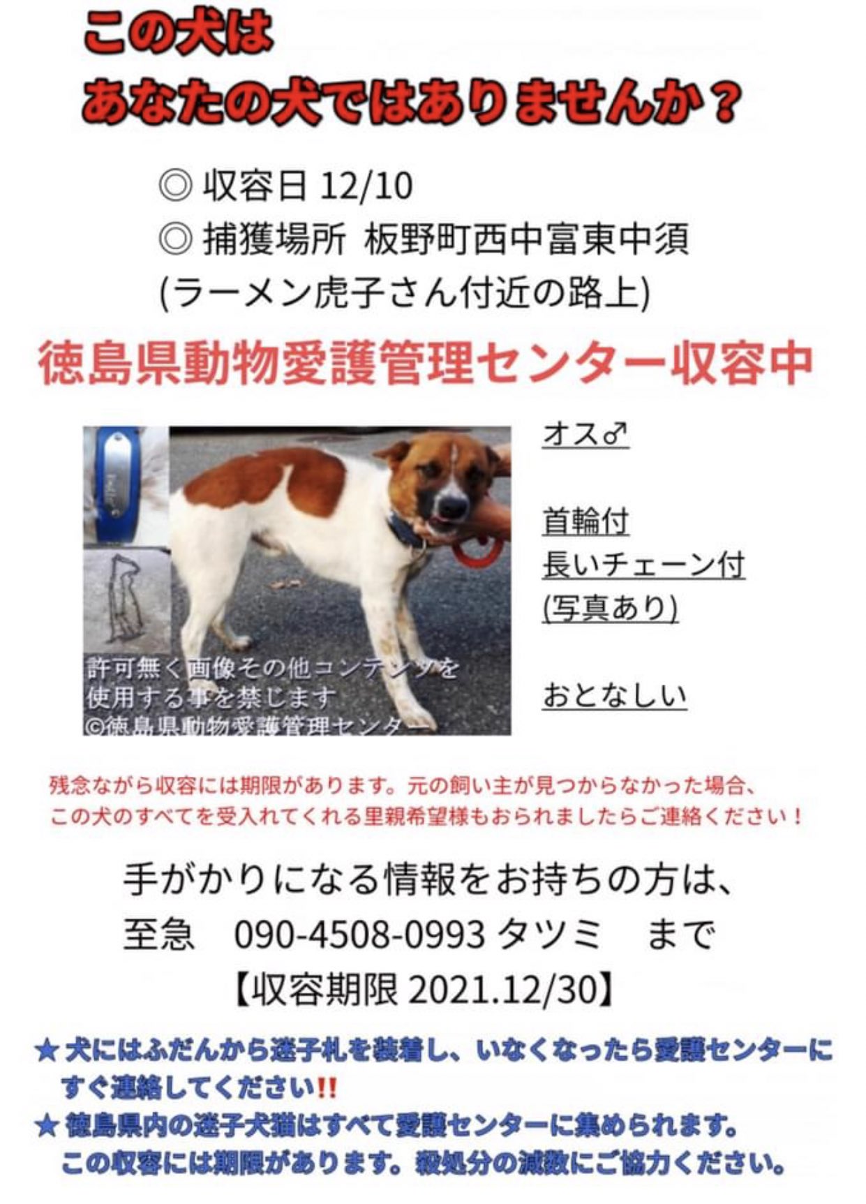 大タコちゃん Facebook Shizuka Tatsumi様シェ 徳島県動物愛護管理センター 期限12月30日まで 飼い主さんお迎えを 板野町をさまよっていた迷子犬 下記連絡先 タツミ様へ 徳島県 犬を飼いたい 迷子犬 迷子 犬情報 迷子 迷子札 迷い犬 大タコちゃん Facebook Shizuka Tatsumi様シェ 徳島県動物愛護管理センター 期限12月30日まで 飼い主さんお迎えを 板野町をさまよっていた迷子犬 下記連絡先 タツミ様へ 徳島県 犬を飼いたい 迷子犬 迷子 犬情報 迷子 迷子札 迷い犬