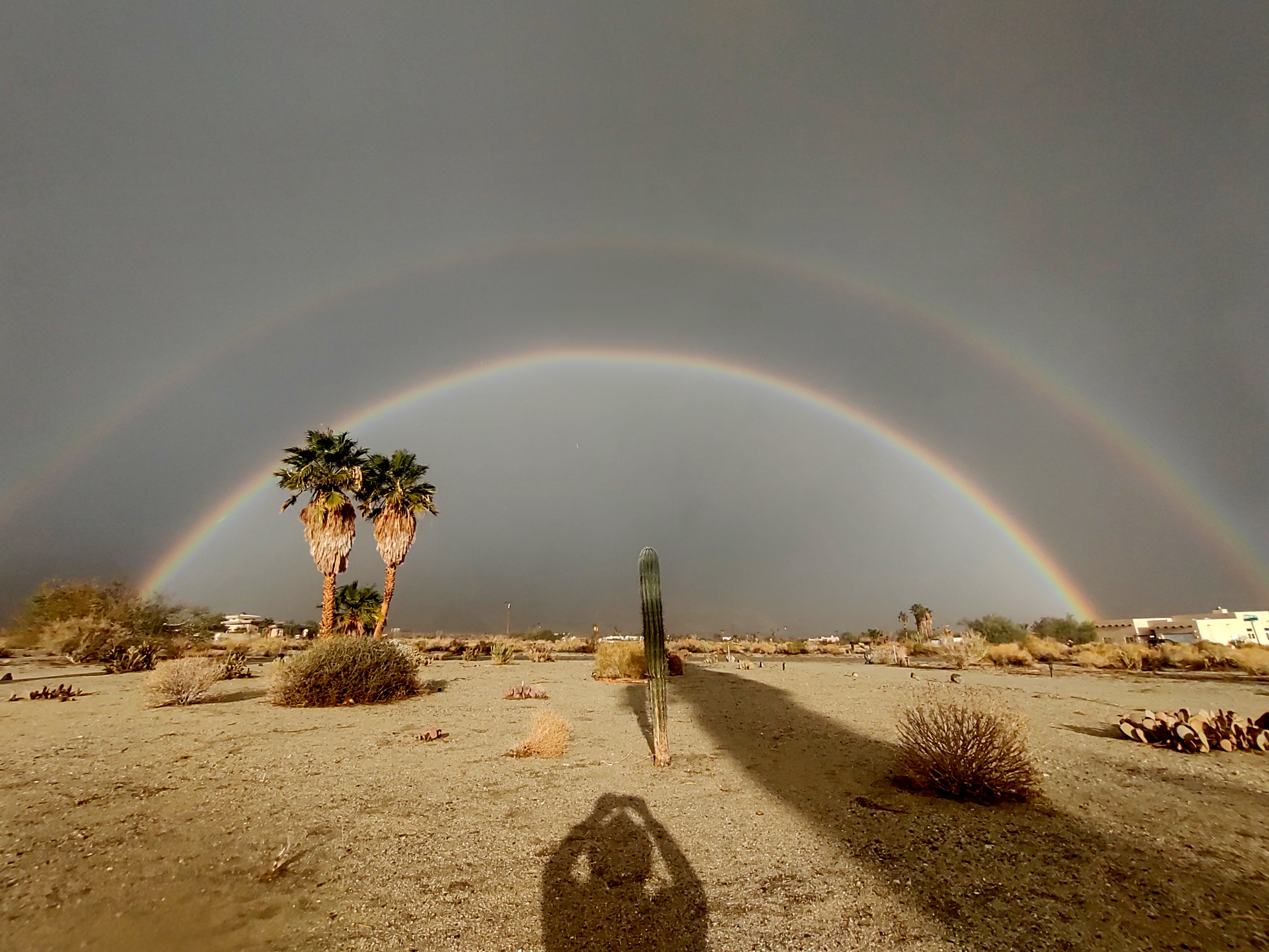 The Desert Review Desertreview Twitter