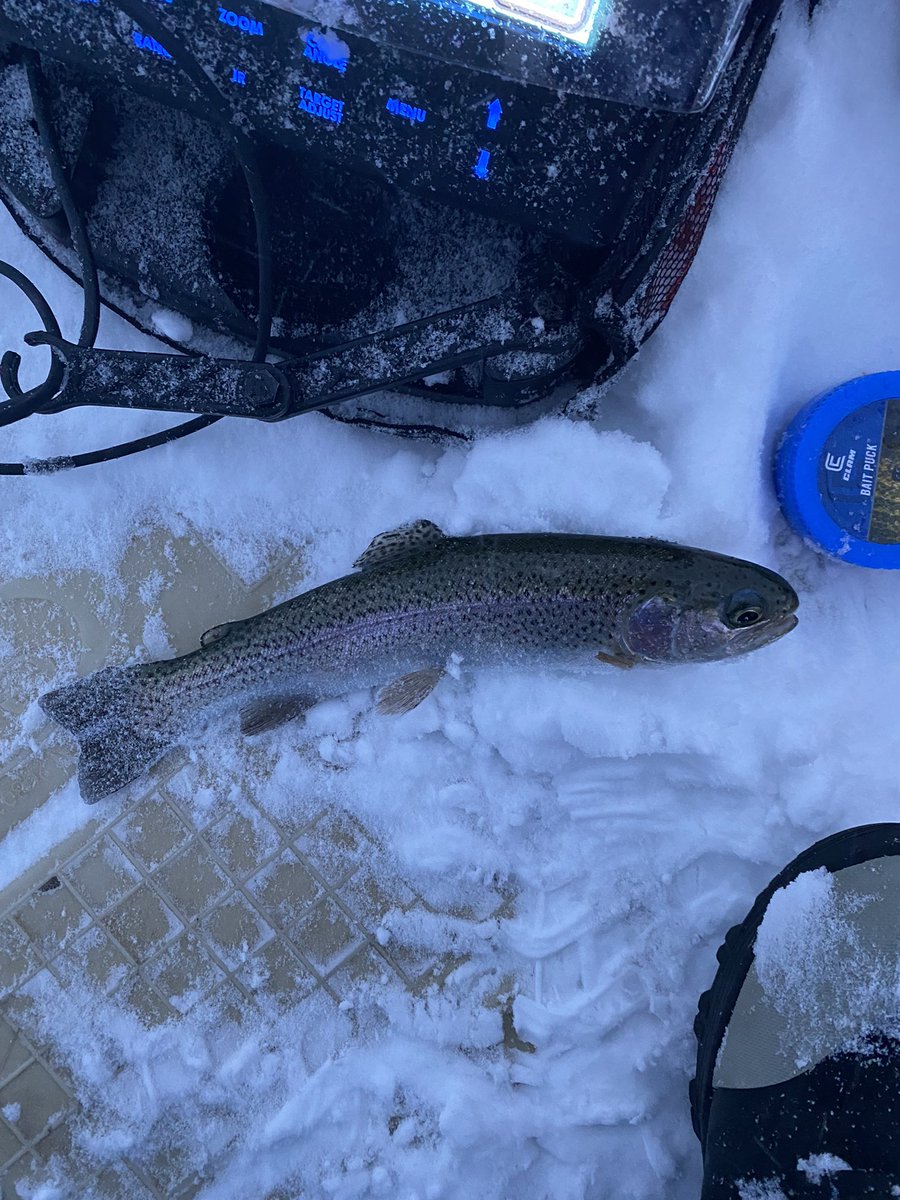 MtnWestIceFish's tweet photo. The weather was pretty western but at least fish were caught.  
#underarmour #yeti #sportsmans #mtndew #icefishing #ionaugers
#uglystik #jawjacker #procurebaitscents #maniaclures #marcum #bft #clam #mtnops #customjigsandspins #ratfinkee #coldnationoutdoors #icefishingnation https://t.co/9iGyLPeqWs