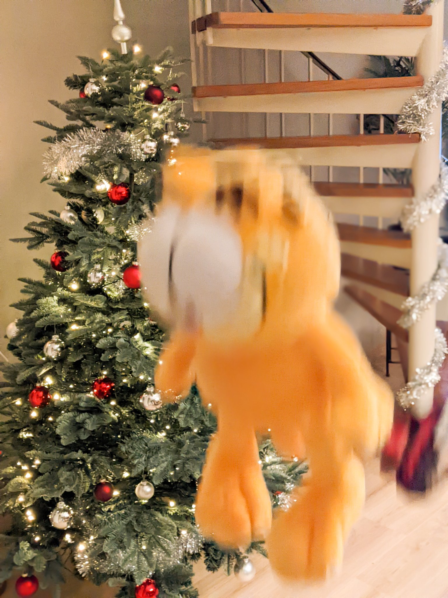 Merry Christmas to all the gay people in my phone https://t.co/1vxiJJsUYr