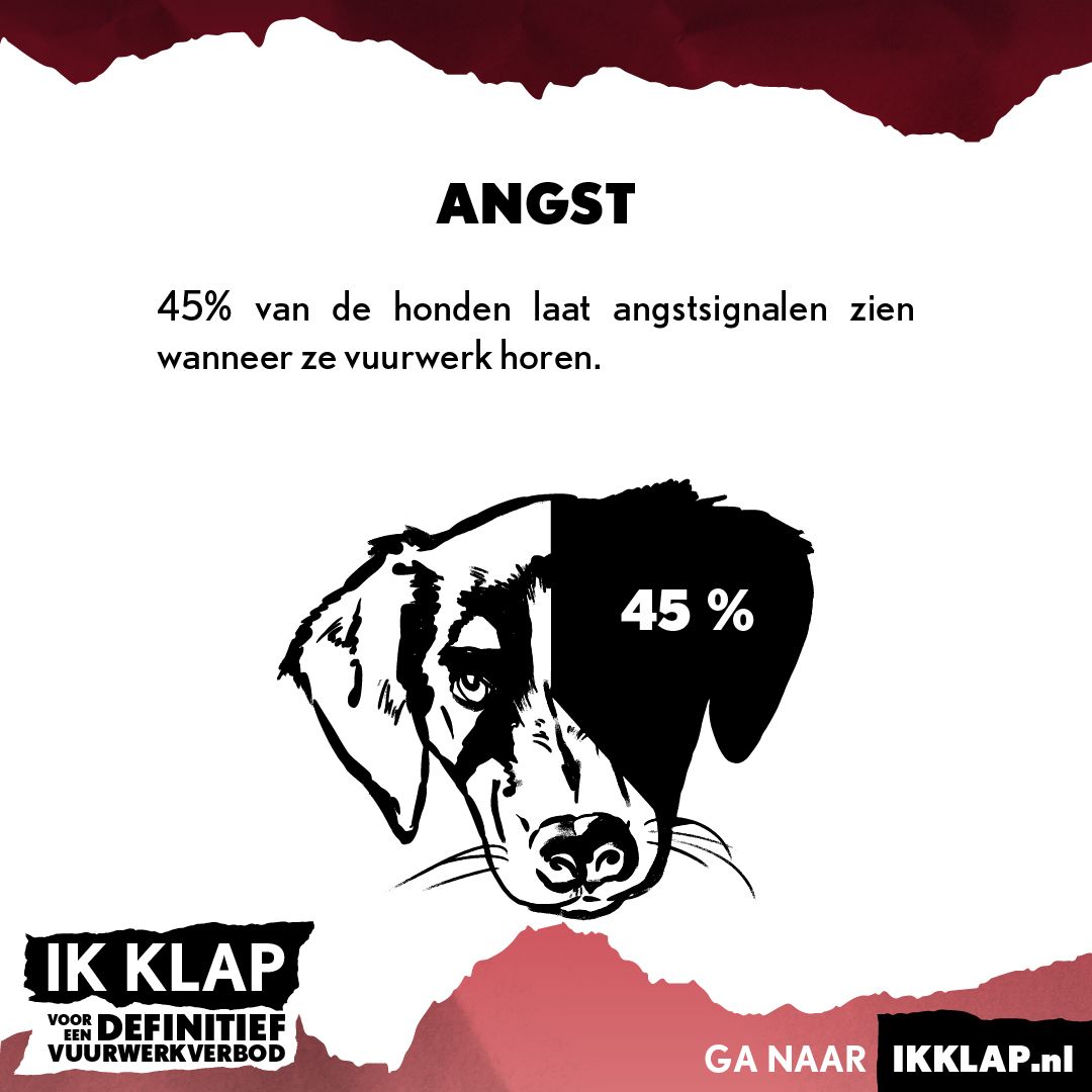Steun de ‘IK KLAP’ campagne en zorg voor een definitief vuurwerkverbod! ikklap.nl