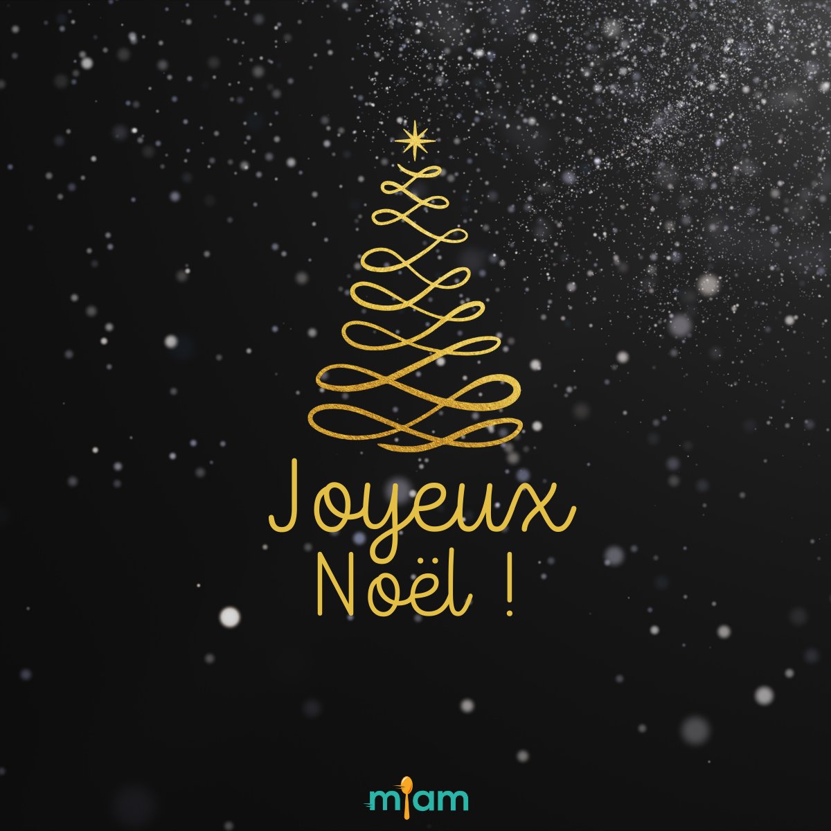 Toute l'équipe de <a href="/MiamB2B/">Miam - Facilitons les achats en ligne !</a> vous souhaite un excellent Noël 🎄

✨ À très vite 🎁