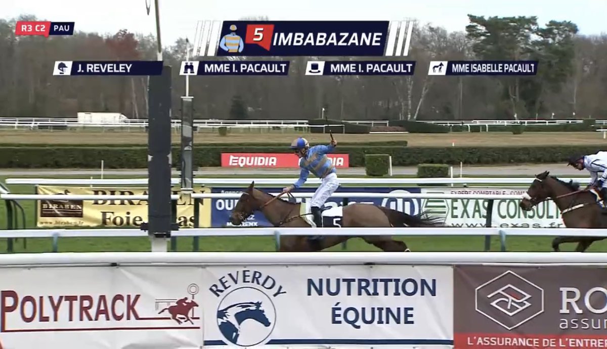 harasdulion's tweet photo. L’AQPS de 3 ans IMBABAZANE montre son vrai visage sur les obstacles palois.
#HUNTERSLIGHT @TheFrenchChaser @Hippodrome_Pau https://t.co/37ecwzhkaU